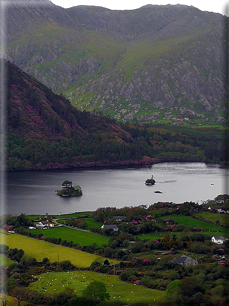 foto Parco di Killarney